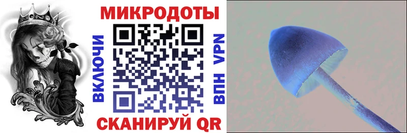 Галлюциногенные грибы Cubensis Почеп
