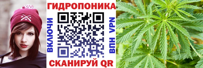 Купить закладки  Почеп  Марихуана THC 21% 